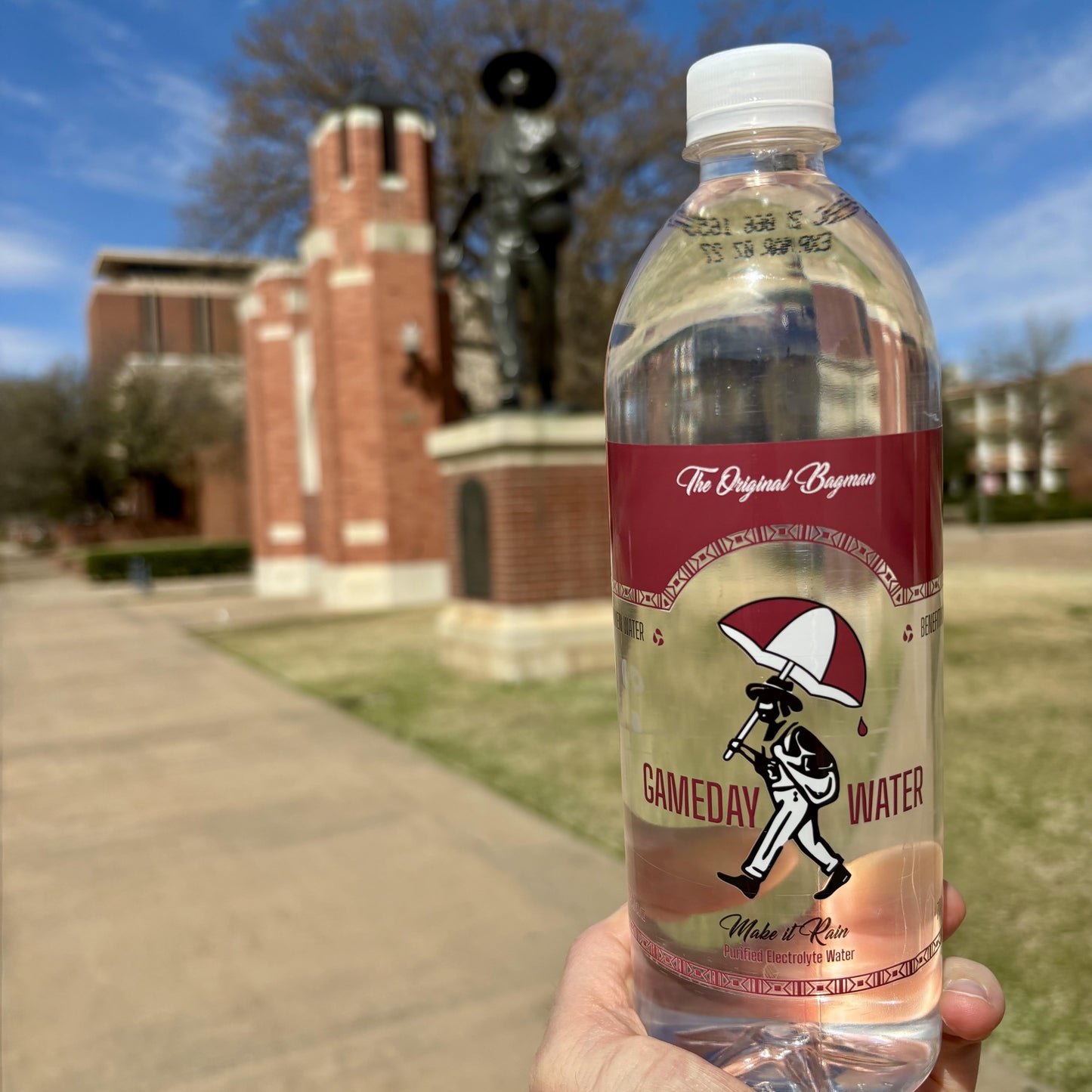 Large Gameday Water 24-Pack (Best Value - Ships Free!)