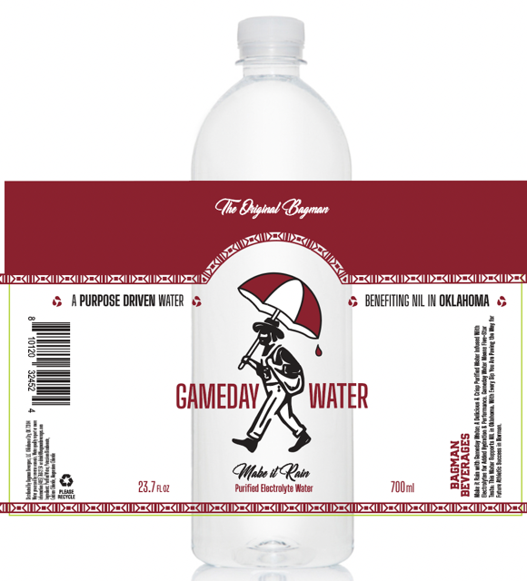 Large Gameday Water 24-Pack (Best Value - Ships Free!)