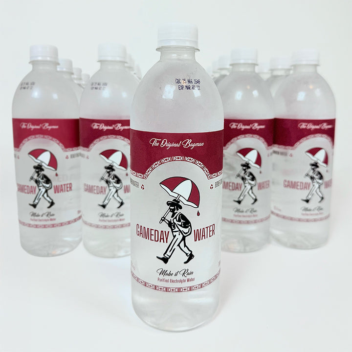 Large Gameday Water 24-Pack (Best Value - Ships Free!)